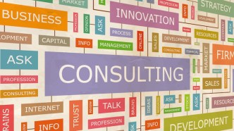 Why do government agencies need so many consultants?