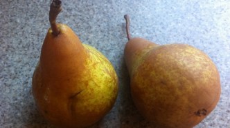 Tom Burton: why I like paleo pear