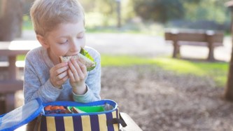 Food policies need consistency to tackle Australia's $56b obesity problem