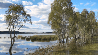 Satellite imagery raises questions about source of dam water in drought-hit NSW