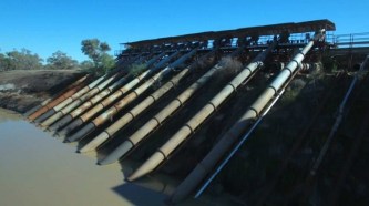 Murray-Darling Basin Plan 'maladministered', South Australia will suffer the most