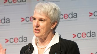 Business leader to chair CEDA, APS review member gets seat on board