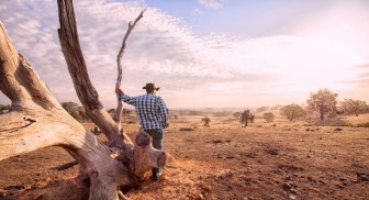 Both sides supporting drought relief doesn’t equate to it being right