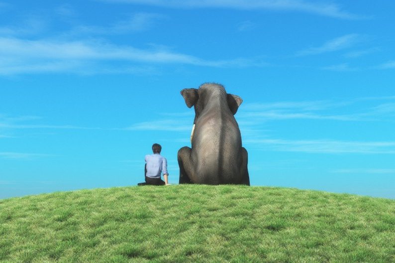 elephant and man sitting on a hill