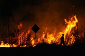 Commonwealth and states share bushfire clean-up effort