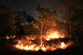 Tasmania turns to traditional methods for bushfire management