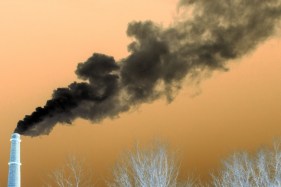 What’s the difference between carbon negative and carbon neutral?