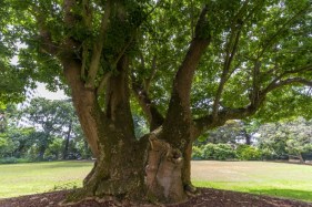 Australian, NZ universities best placed to solve the world’s biggest challenges