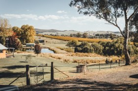 New department established for regional NSW