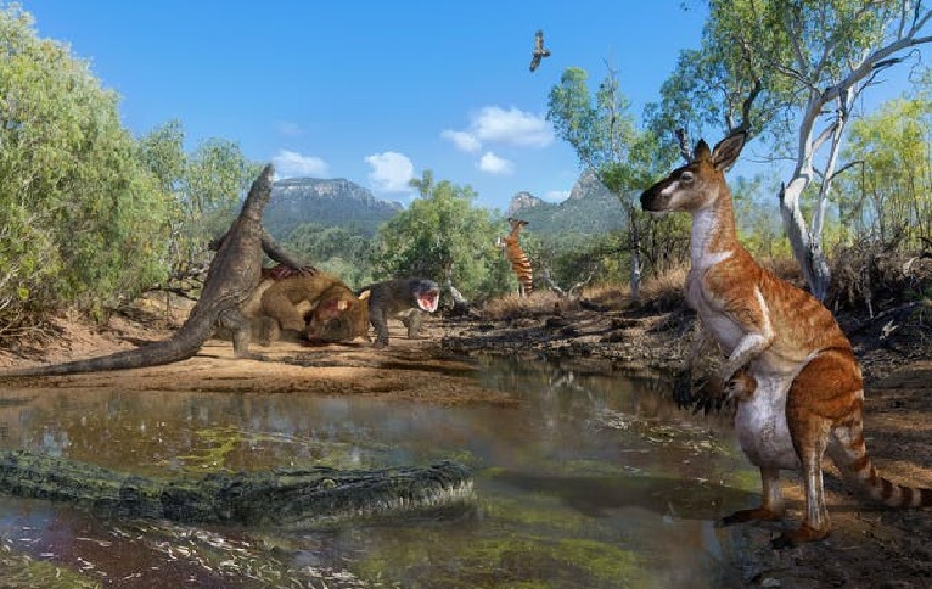 Humans coexisted with three-tonne marsupials and lizards as long as cars in ancient Australia