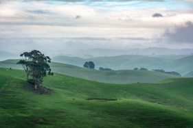 Working hard to get energy-transition policy right: learning from Gippsland’s Latrobe Valley’s efforts