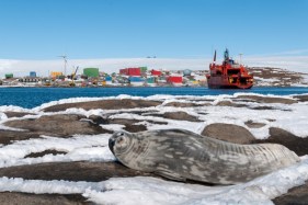 From science to film festivals: life as a public servant in Antarctica