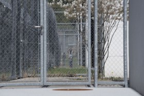 AHRC calls on Home Affairs to address COVID-19 risks in detention centres