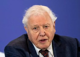 David Attenborough leads call for world to invest $500 billion a year to protect nature