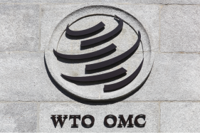 Six home truths for the new head of the WTO