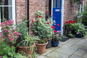 Green front gardens reduce physiological and psychological stress