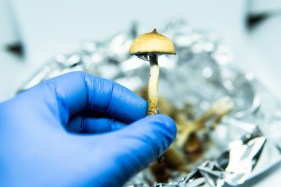 Will Australia legalise ecstasy and magic mushrooms to treat mental illness? Here’s why it’s still too soon