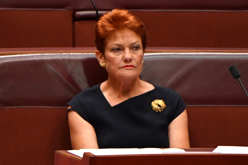 The family law inquiry was largely pushed by One Nation leader Pauline Hanson.