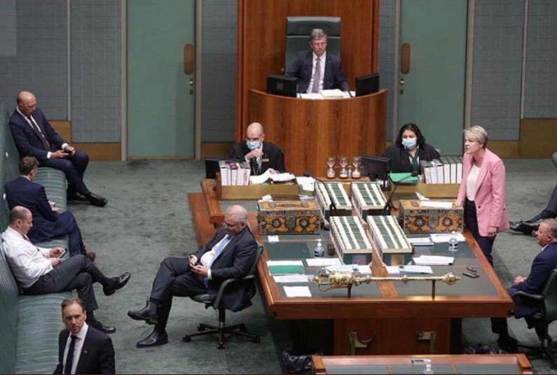 The government turns its back on Tanya Plibersek during a session. Showing contempt for Australian politics