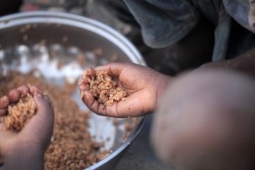 Hunger crisis for 270 million facing famine, NGOs warn