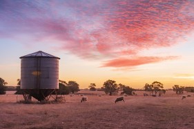 Generating jobs and natural capital in regional Australia. Budgeting in the public interest post-COVID, part III