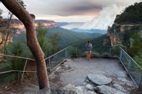 We need to get better at learning how to learn from bushfires