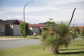 WA seeking ‘balance’ in medium-density development planning