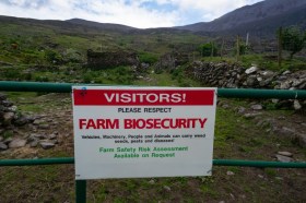 Audit finds government response to biosecurity rule-breakers ‘largely inappropriate’