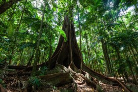 Singapore is building a ‘forest town’ with abundant green spaces and underground roads