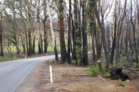 Assessment app, evacuation tool among bushfire projects to receive $4.2m