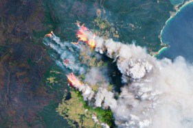 Smoke from the Black Summer fires created an algal bloom bigger than Australia in the Southern Ocean