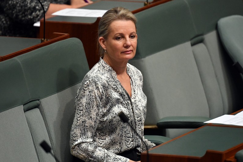 Environment minister Sussan Ley said the damage feral predators did was “horrific”.