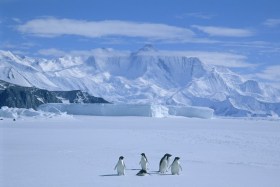 PM: Antarctica facing ‘unprecedented challenges’