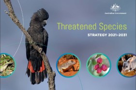 New federal strategy targets 100 threatened species