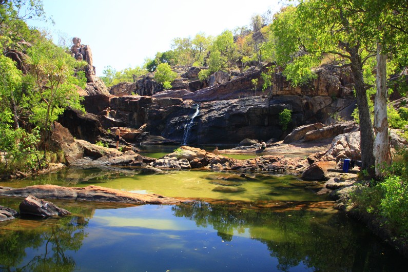 kakadu