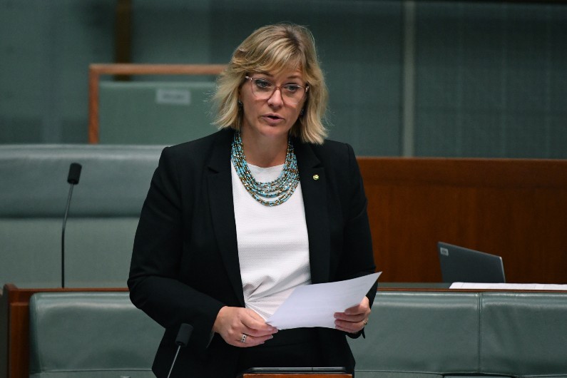 Zali Steggall in parliament