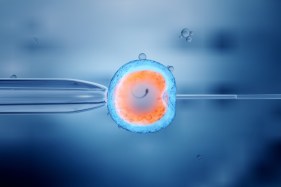 For what it’s worth: Study helps answer what age women should reconsider IVF treatment