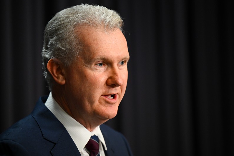 Tony Burke