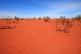 A penguin farm in the Australian desert: a thought experiment that reveals the flaws in our environment laws