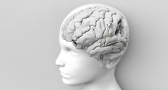 Emerging neurotechnology poses new legal challenges