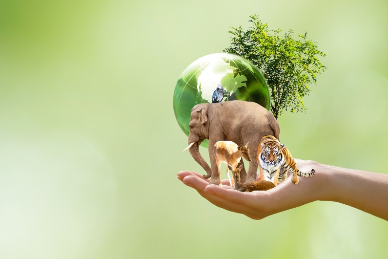 Earth-animals-hand-green