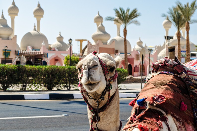 Sharm El-Sheikh-Egypt-COP27