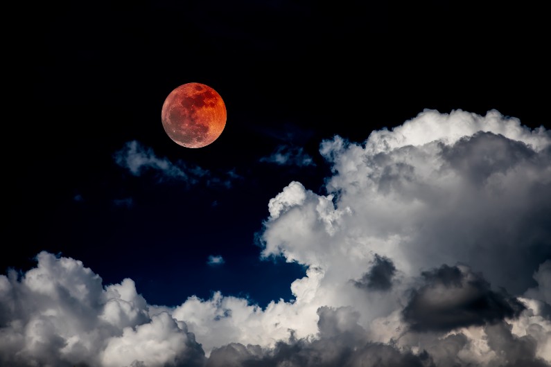 A total lunar eclipse is set to dazzle tonight – along with some other stellar sights