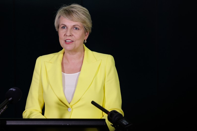 Tanya Plibersek