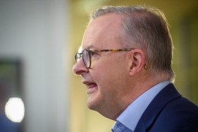 Albanese wants to tap into expertise of federal bureaucrats