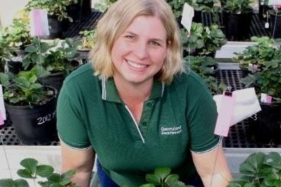 Australia’s sweet effort to produce premium strawberries for automated picking