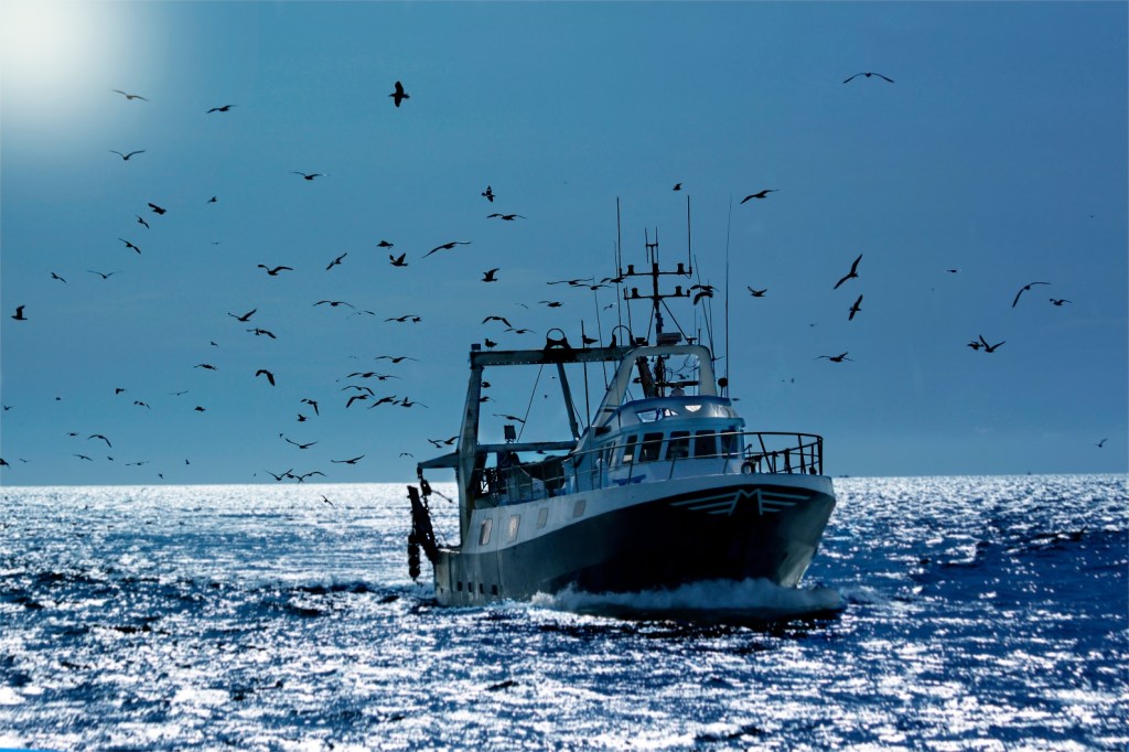 commercial-fishing