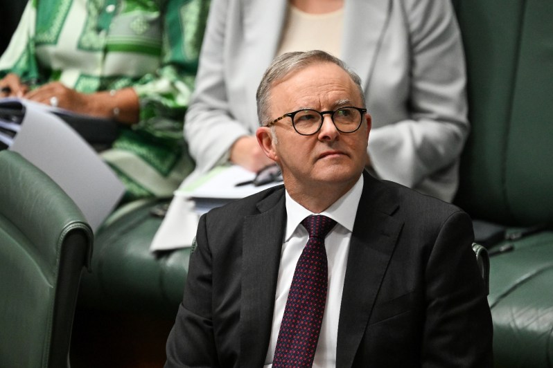 Albo green-lights Microsoft AI trials across APS, OpenAI leadership implodes