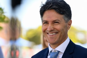 Shorten taps Dominello to oversee myGov delivery dream team